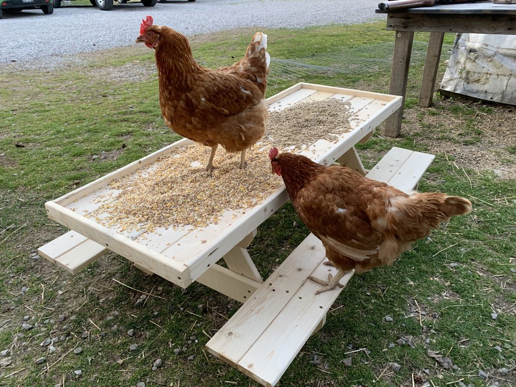 chicknic table.jpg